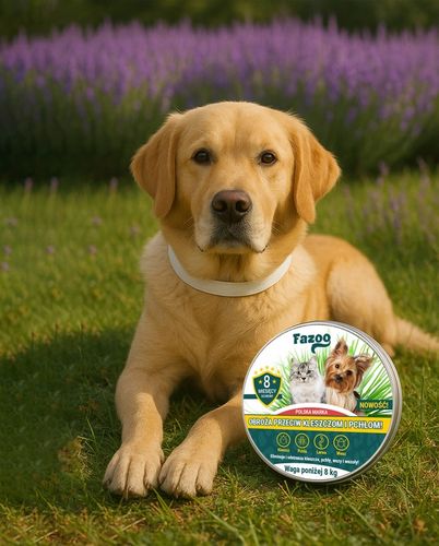 OBROŻA NA KLESZCZE i Pchły dla Psa Kota Antykleszczowa 8 Miesięcy Fazoo na Arena.pl