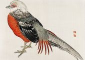 Plakat 70x50cm Japanese Pheasant, Kōno Bairei Japoński Vintage do Salonu