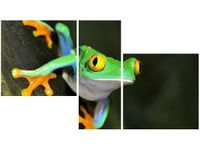 product-compare-58655426