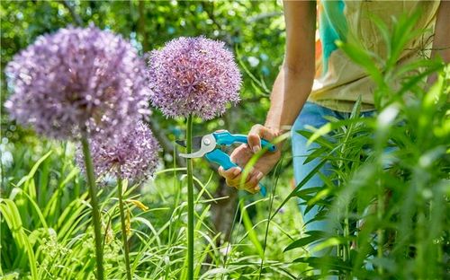 sekator ogrodowy gardena 8754-20 na Arena.pl