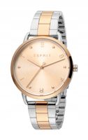 Zegarek Damski Esprit ES1L173M0105 srebrny
