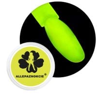 Allepaznokcie Pigment Neon UV Pyłek Ozdoba Do Paznokci W Proszku 0,6g Nr 03