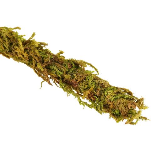 Repti-Zoo Liana z naturalnym mchem 1cm x 2m na Arena.pl