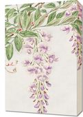 Obraz 40x60cm Wisteria Vine, Morikaga Japoński Vintage do Salonu