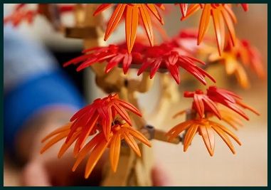 10348 - lego the botanical collection - klon palmowy bonsai na Arena.pl