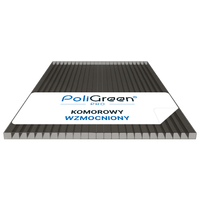 Poliwęglan komorowy ProBrand, WZMOCNIONY 500x1050 dymny (szary) 4mm