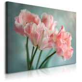 Obraz Canvas Do Salonu Różowe Tulipany Kwiaty Natura Rośliny 120cm x 80cm
