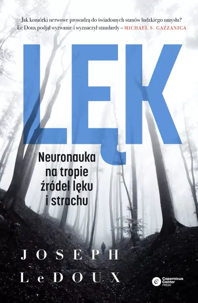 Lęk zdjęcie 1