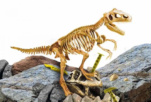 i'm genius super kit t-rex  1103 na Arena.pl