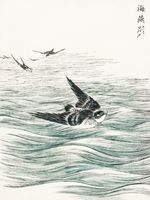 Plakat 15x20cm Riu Kiu House Swallow, Kashu Japoński Vintage
