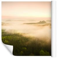Fototapeta Las ZIELEŃ Natura Drzewa do Sypialni 90x60