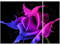 product-compare-58645428