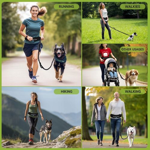 PAS SASZETKA DO BIEGANIA Z PSEM Elastyczna lina trakcyjna na Arena.pl
