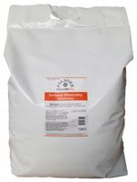 Sorbent POLSORB PLUS 10 KG worek z uchwytem