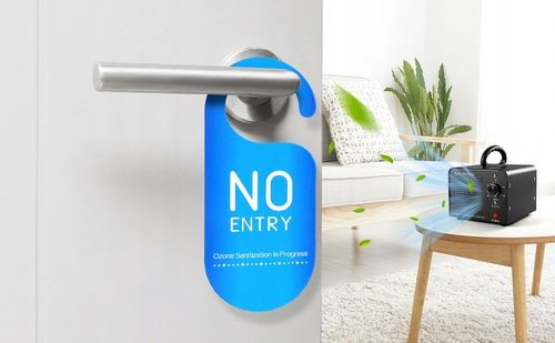 OZONATOR GENERATOR OZONU OCZYSZCZACZ DO POWIETRZA 60 000 mg/h +TIMER na Arena.pl