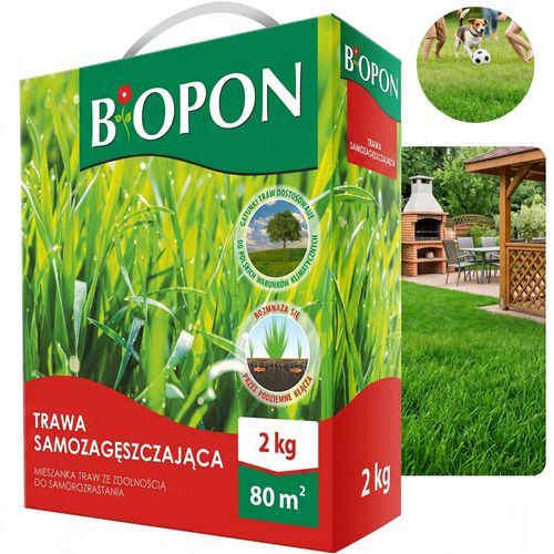 BOPON - Trawa Samozagęszczająca 80 m² - 2 kg na Arena.pl