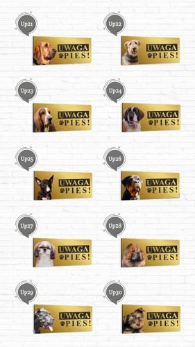 Tabliczka Aluminiowa Ostrzegawcza UWAGA ZŁY PIES na Arena.pl