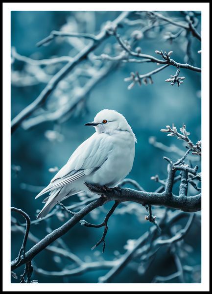 Plakat 70x100cm Perłowy Ptak zdjęcie 3