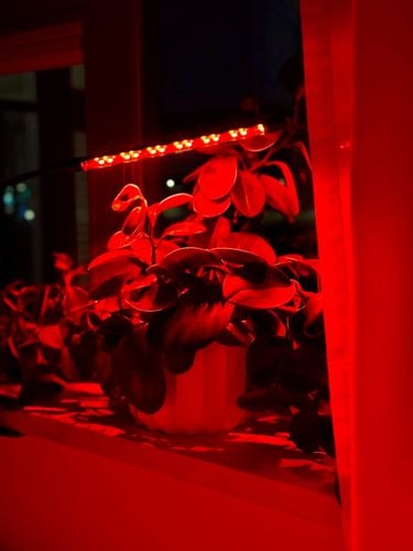 lampa led do wzrostu roślin 20 diod timer 9 w uprawa roślin do domu na Arena.pl