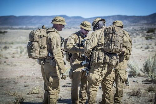 Plecak RACCOON Mk2 Cordura Czarny EDC Molle Helikon D-Ring YKK Mesh na Arena.pl