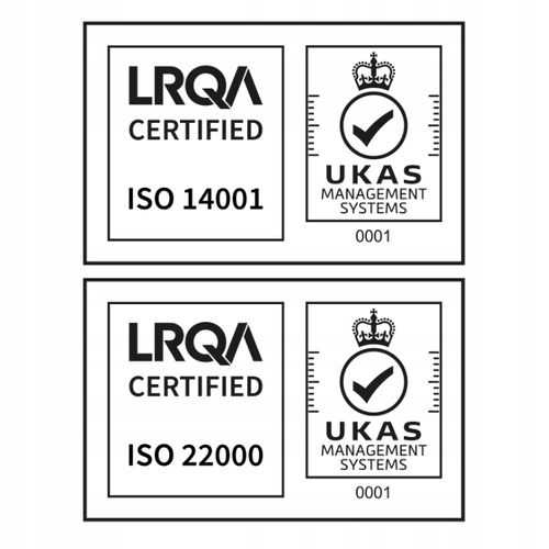 Żelazo elementarne + Witamina C Kwas foliowy burak szpinak Anemia Wegan na Arena.pl