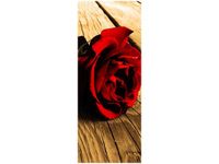 40X100CM RÓŻA SEPII OBRAZ PION