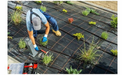 LINIA KROPLUJĄCA NAWODNIENIE KROPELKOWE WĄŻ DO PODLEWANIA ZESTAW 50m+ 56el. na Arena.pl