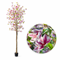 Sztuczna Magnolia 180 cm Realistyczna - Drzewko Dekoracyjne Premium