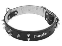 Czarna obroża dla psa ze skóry bydlęcej zdobiona kolcami Champion 60/3,5cm