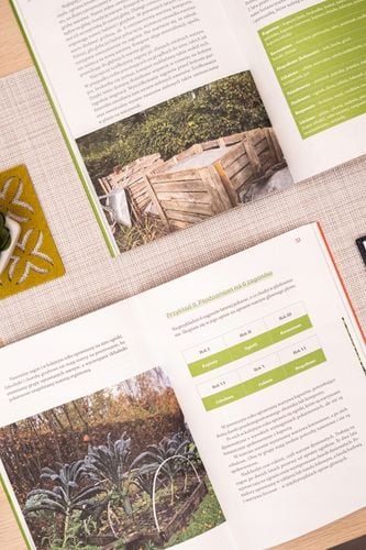 Plan na warzywnik - Jacek Naliwajek na Arena.pl