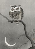Plakat 50x70cm Long-Eared Owl, Koson Japoński Vintage do Salonu