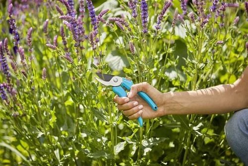 sekator ogrodowy gardena 8754-20 na Arena.pl