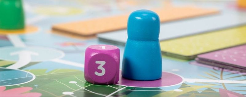 Gra Mój własny Kameleon zdjęcie 4