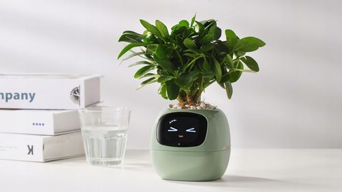 Inteligentna doniczka IVY SMART PLANTER osłonka na donicę PLANTSIO ZIELONA na Arena.pl