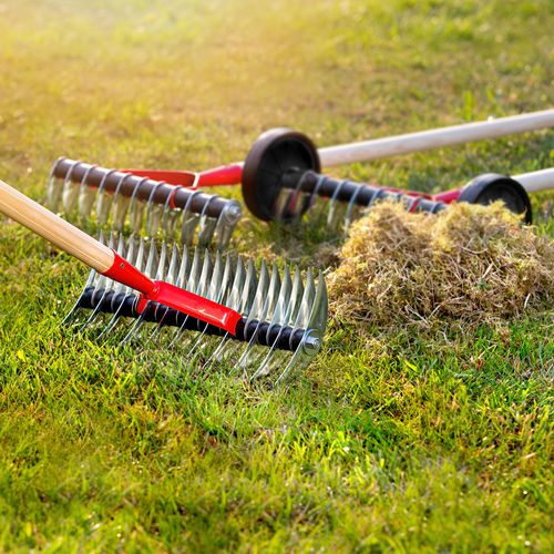 AERATOR DWUSTRONNY RĘCZNY WERTYKULATOR DO TRAWY na Arena.pl