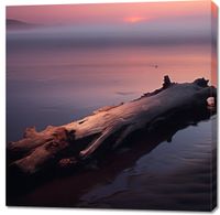 Obraz 100x100cm W Oczekiwaniu Na Koniec