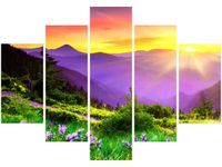 105CM 150CM OBRAZ 5 ELEM KWIECISTA ŁĄKA DRUK