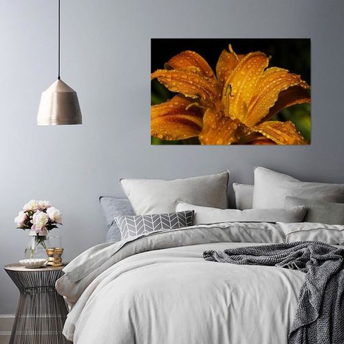 Obraz na płótnie - Canvas, Żółta lilia 40x30 na Arena.pl