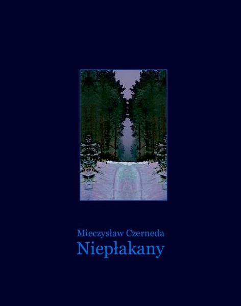 (epub, mobi) Niepłakany zdjęcie 1