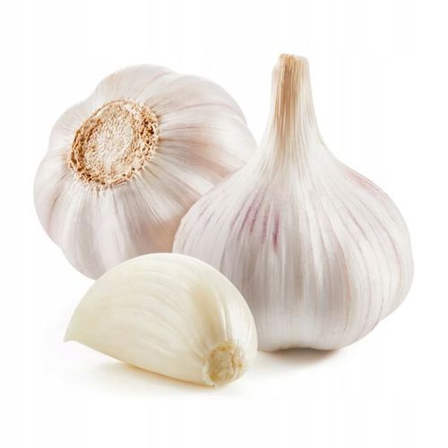 ZIMOWY ZESTAW DO SADZENIA 2x Dymka + Czosnek Harnaś 500g na Arena.pl