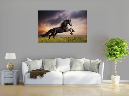 Obraz drukowany na płótnie canvas 120x80 + GRATIS na Arena.pl