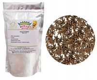 Anyż Gwiazdki Gwiazdzisty 25 g Gwiazdkowy Gwiazdy Aromatyczny Wonny