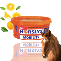 Horslyx Mobility Masa Energetyczna Dla Koni W Formie Bloków 650g