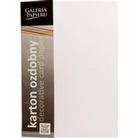 KARTON OZDOBNY FLORYDA BIAŁY 220G 20SZT GALERIA PAPIERU 200301