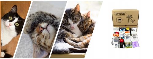 Karma mokra dla kota Saszetka Mix Smaków Wielka Paka Dla Kociaka 50 szt. na Arena.pl