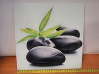 obraz szklany 30x30 lt5171