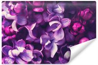 Fototapeta Do Salonu Fioletowe KWIATY Bzu Natura Efekt 3D 270cm x 180cm