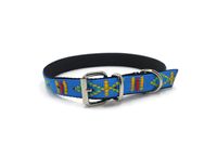A-226 OBROŻA DLA PSA PODWÓJNA INDIAŃSKA 30mm Kolor - BŁĘKITNY