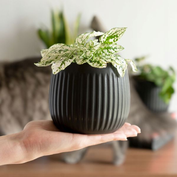 KADAX Doniczka Ceramiczna Osłonka 12cm Czarna zdjęcie 2