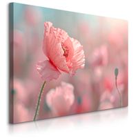 Obraz Do Jadalni Salonu Różowe Maki Polne Kwiaty Rośliny Łąka 120cm x 80cm